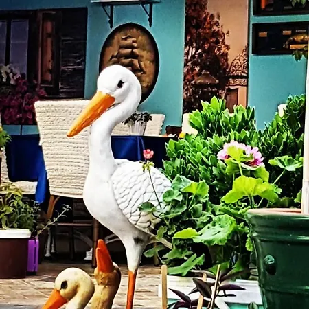 Couette-café Mai̇ 2*