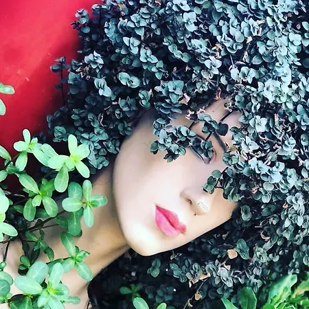 ベッド・アンド・ブレックファスト Mai̇ Çeşme