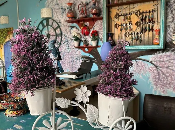 Mai̇ Bed & Breakfast