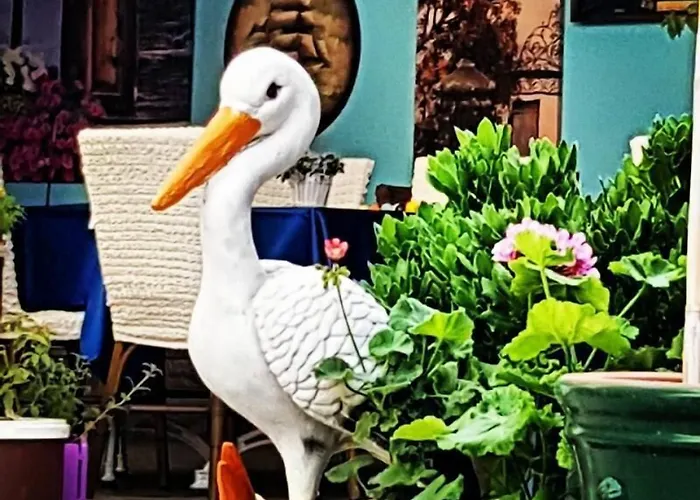 Bed & Breakfast Mai̇ 2*