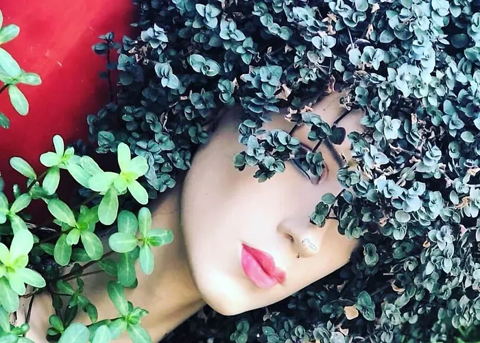 Bed & Breakfast Mai̇ Çeşme